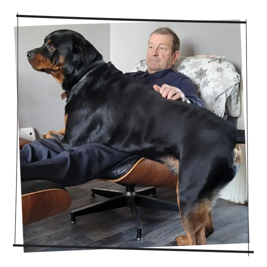 The Naked Truth: How One Butcher’s Passion for Dogs Changed Mealtimes Forever