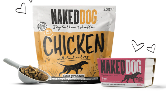 🌡️ Cold Pressed Dog Food: The Best Alternative to Raw Feeding