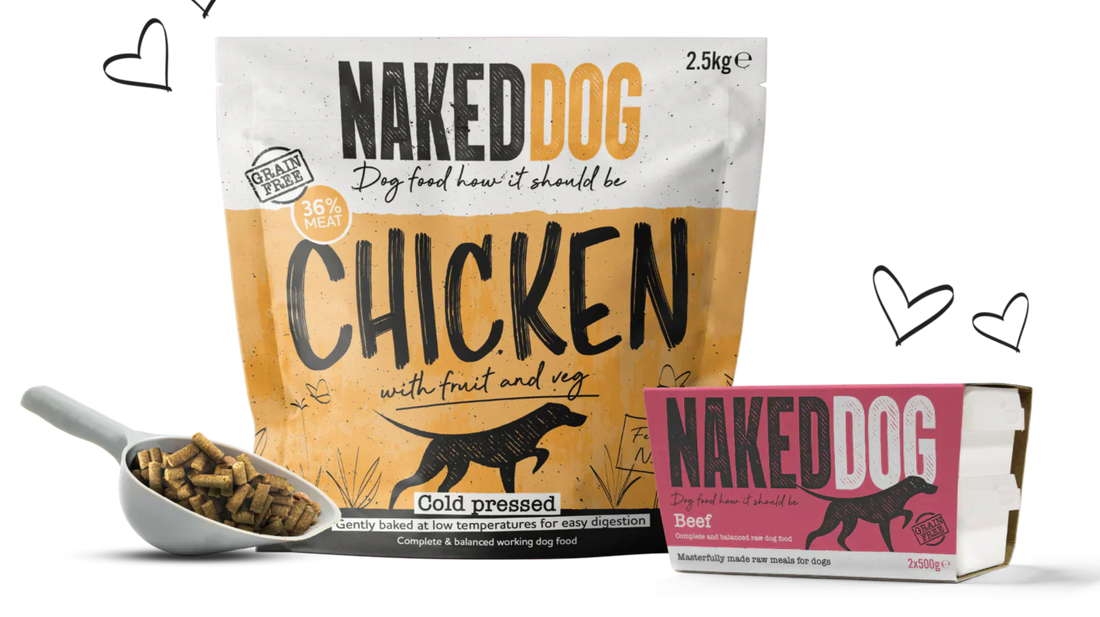 What Is Cold Pressed Dog Food? A Complete Guide for Dog Owners