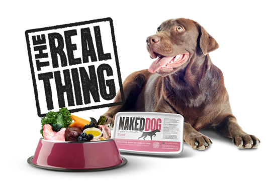 Raw Feeding Without the Faff: How Naked Dog Makes Raw Dog Food Safe and Simple