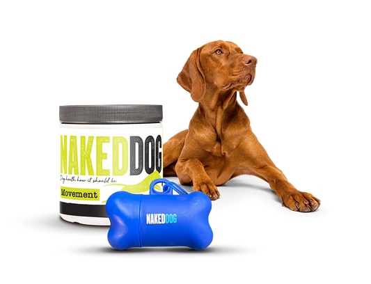 🌿 Raw Dog Food & Supplements: Natural Support for Every Dog