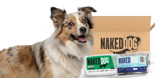 Can I feed my dog raw meat from the supermarket?