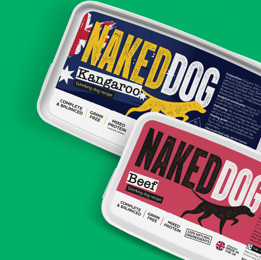 Raw Dog Food For Beginners