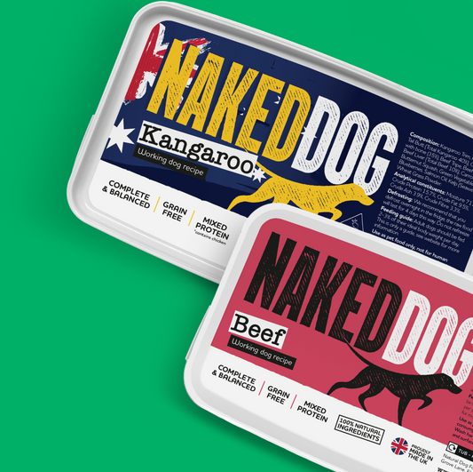 Raw Dog Food For Beginners