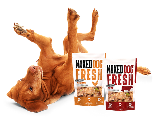 Meet Naked Dog Fresh: our new range of fresh frozen dog food, gently steamed to lock in nutrition and make feeding fresh brilliantly simple.