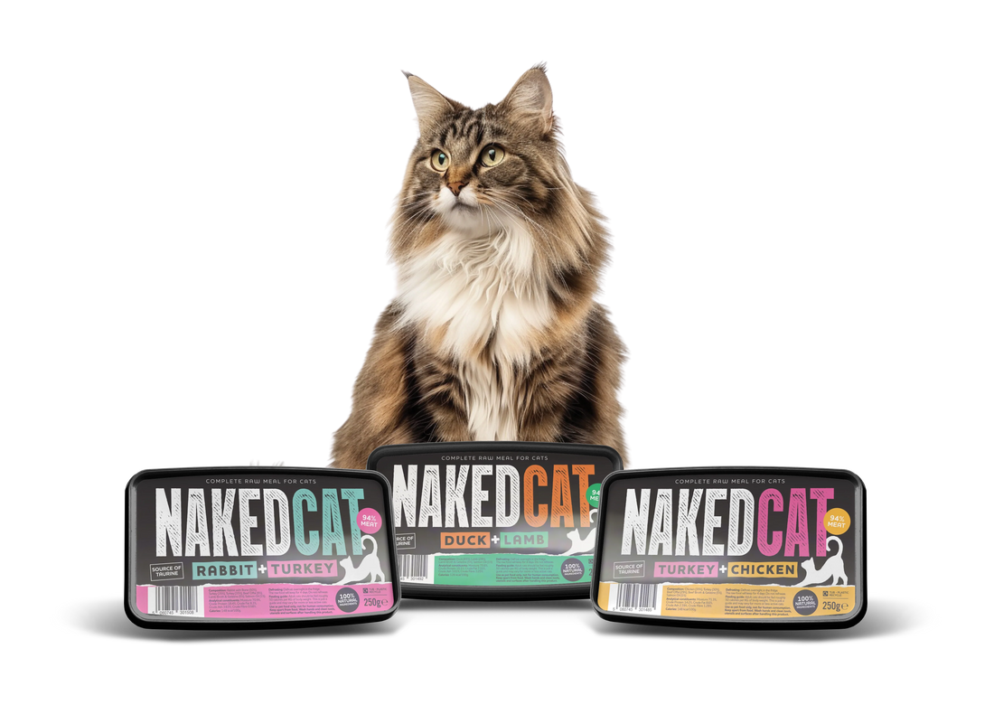 Naked Cat Raw Food: The Benefits of Feeding a Natural Diet to Cats