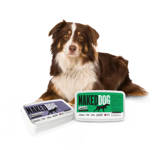 Raw Feeding Calculator for Dogs: Portion Guide by Weight & Age