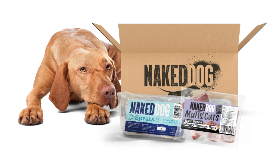 ❄️ Frozen Raw Dog Treats: Natural Enrichment &amp; Nutrition for Healthy Dogs