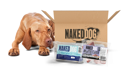 ❄️ Frozen Raw Dog Treats: Natural Enrichment &amp; Nutrition for Healthy Dogs