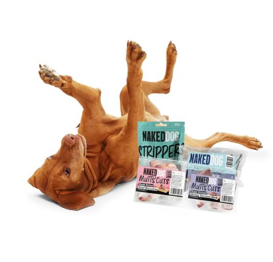 Why Raw Frozen Bones Are a Brilliant Natural Treat for Dogs: Benefits & Tips