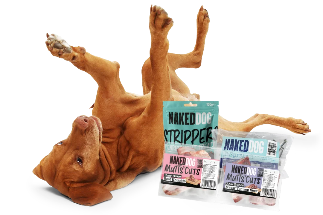 Why Raw Frozen Bones Are a Brilliant Natural Treat for Dogs: Benefits & Tips