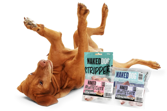 Why Raw Frozen Bones Are a Brilliant Natural Treat for Dogs: Benefits & Tips