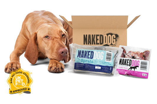 ❄️ Frozen Raw Dog Treats: Natural Enrichment &amp; Nutrition for Healthy Dogs