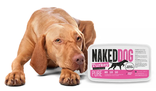 How much raw food should I feed my dog?