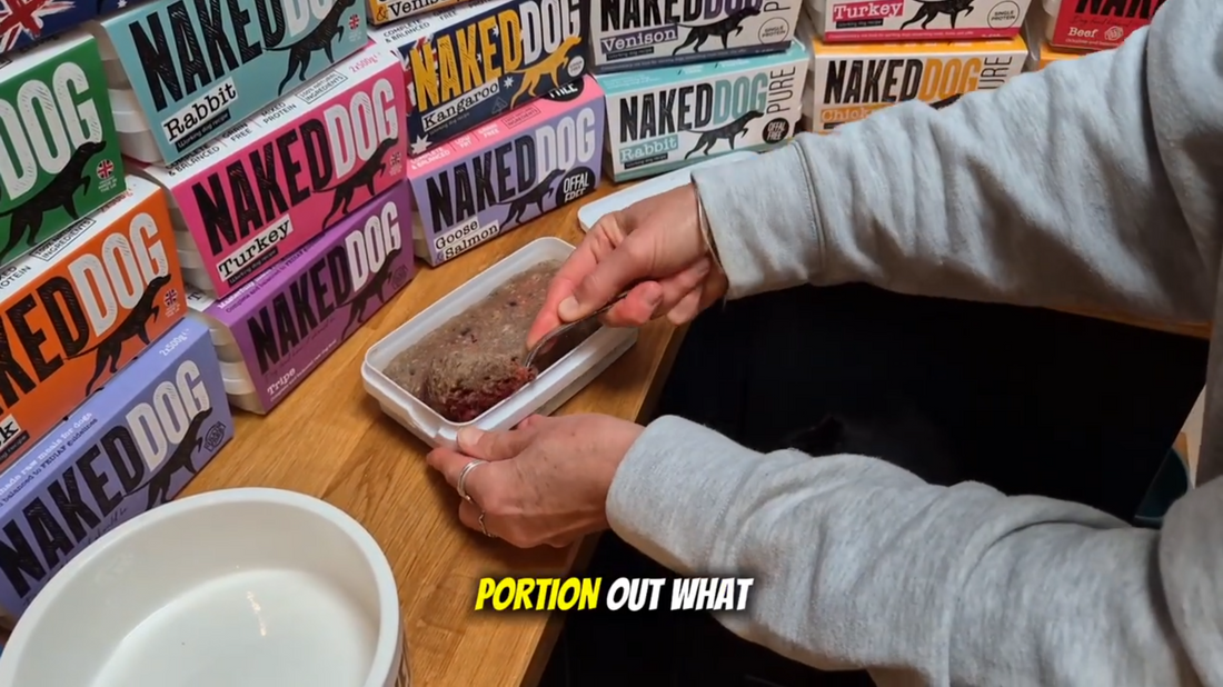 Raw Dog Food For Beginners