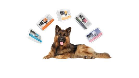 How much raw food should I feed my dog?